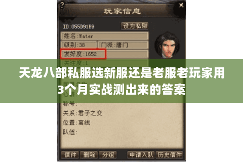 天龙八部私服选新服还是老服老玩家用3个月实战测出来的答案 天龙八部私服选新服还是老服老玩家用3个月实战测出来的答案