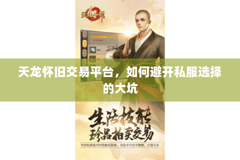 天龙怀旧交易平台,如何避开私服选择的大坑 天龙怀旧交易平台,如何避开私服选择的大坑