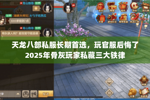 天龙八部私服长期首选,玩官服后悔了2025年骨灰玩家私藏三大铁律 天龙八部私服长期首选,玩官服后悔了2025年骨灰玩家私藏三大铁律