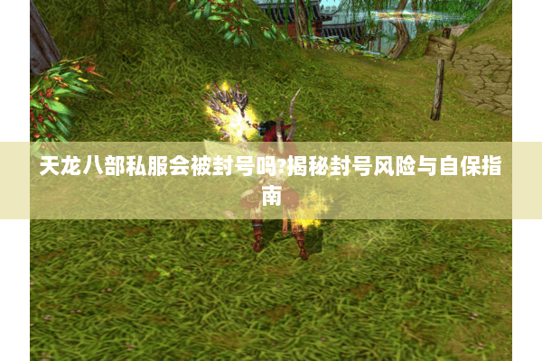 天龙八部私服会被封号吗?揭秘封号风险与自保指南