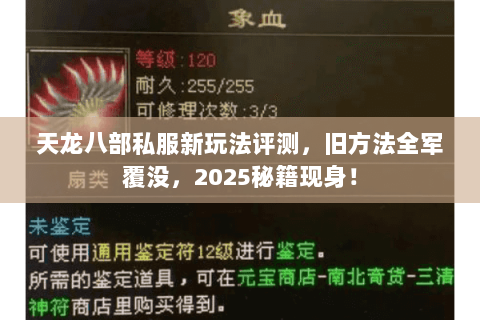 天龙八部私服新玩法评测,旧方法全军覆没,2025秘籍现身! 天龙八部私服新玩法评测,旧方法全军覆没,2025秘籍现身!