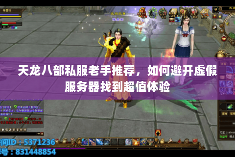 天龙八部私服老手推荐,如何避开虚假服务器找到超值体验 天龙八部私服老手推荐,如何避开虚假服务器找到超值体验