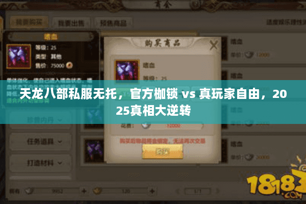 天龙八部私服无托,官方枷锁 vs 真玩家自由,2025真相大逆转 天龙八部私服无托,官方枷锁 vs 真玩家自由,2025真相大逆转