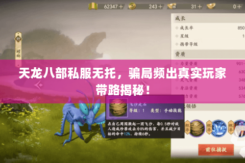 天龙八部私服无托，骗局频出真实玩家带路揭秘！