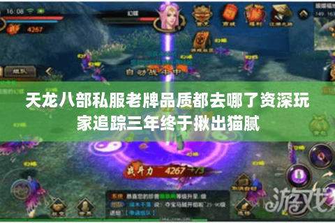 天龙八部私服老牌品质都去哪了资深玩家追踪三年终于揪出猫腻 天龙八部私服老牌品质都去哪了资深玩家追踪三年终于揪出猫腻