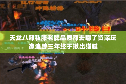 天龙八部私服老牌品质都去哪了资深玩家追踪三年终于揪出猫腻 天龙八部私服老牌品质都去哪了资深玩家追踪三年终于揪出猫腻