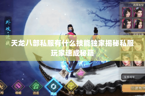 天龙八部私服有什么技能独家揭秘私服玩家速成秘籍 天龙八部私服有什么技能独家揭秘私服玩家速成秘籍