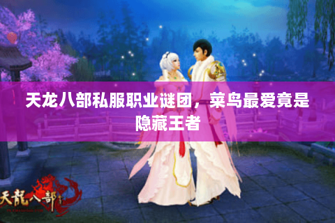 天龙八部私服职业谜团,菜鸟最爱竟是隐藏王者 天龙八部私服职业谜团,菜鸟最爱竟是隐藏王者
