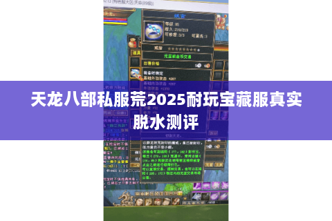天龙八部私服荒2025耐玩宝藏服真实脱水测评 天龙八部私服荒2025耐玩宝藏服真实脱水测评
