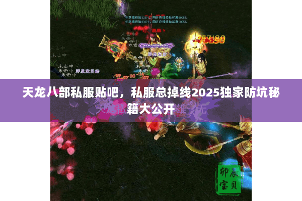 天龙八部私服贴吧,私服总掉线2025独家防坑秘籍大公开 天龙八部私服贴吧,私服总掉线2025独家防坑秘籍大公开