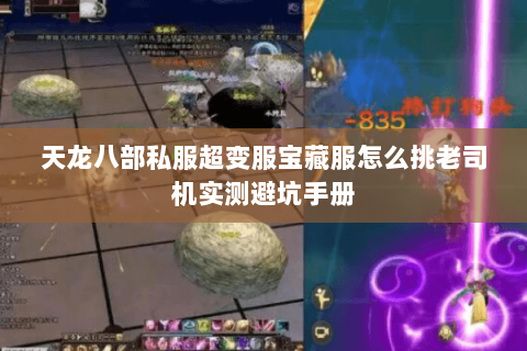 天龙八部私服超变服宝藏服怎么挑老司机实测避坑手册 天龙八部私服超变服宝藏服怎么挑老司机实测避坑手册