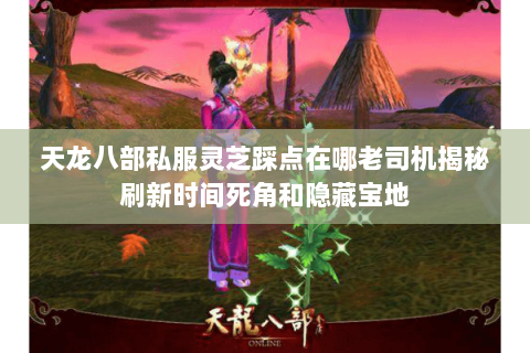 天龙八部私服灵芝踩点在哪老司机揭秘刷新时间死角和隐藏宝地 天龙八部私服灵芝踩点在哪老司机揭秘刷新时间死角和隐藏宝地