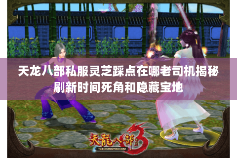天龙八部私服灵芝踩点在哪老司机揭秘刷新时间死角和隐藏宝地 天龙八部私服灵芝踩点在哪老司机揭秘刷新时间死角和隐藏宝地