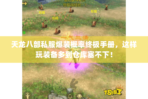 天龙八部私服爆装概率终极手册,这样玩装备多到仓库塞不下! 天龙八部私服爆装概率终极手册,这样玩装备多到仓库塞不下!