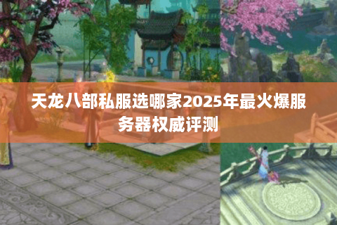 天龙八部私服选哪家2025年最火爆服务器权威评测 天龙八部私服选哪家2025年最火爆服务器权威评测