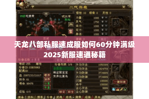 天龙八部私服速成服如何60分钟满级2025新服速通秘籍 天龙八部私服速成服如何60分钟满级2025新服速通秘籍