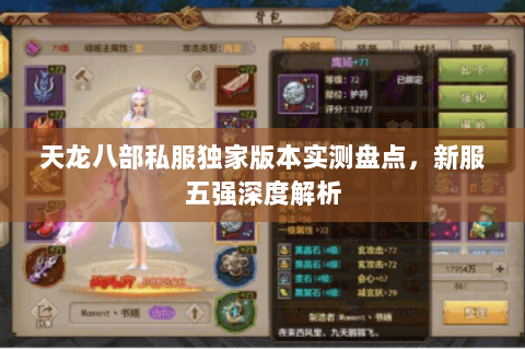 天龙八部私服独家版本实测盘点,新服五强深度解析 天龙八部私服独家版本实测盘点,新服五强深度解析