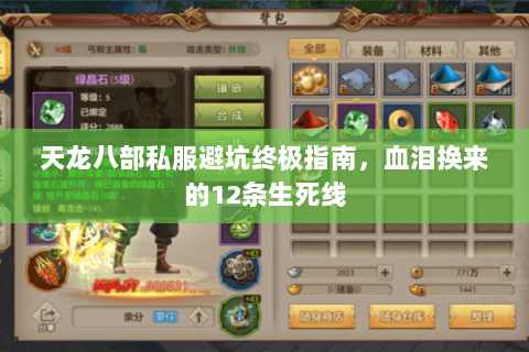 天龙八部私服避坑终极指南,血泪换来的12条生死线 天龙八部私服避坑终极指南,血泪换来的12条生死线