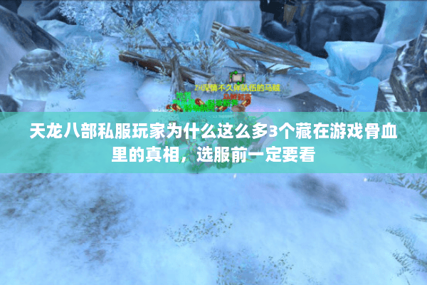 天龙八部私服玩家为什么这么多3个藏在游戏骨血里的真相,选服前一定要看 天龙八部私服玩家为什么这么多3个藏在游戏骨血里的真相,选服前一定要看