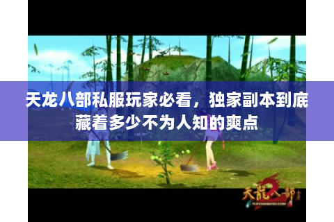 天龙八部私服玩家必看,独家副本到底藏着多少不为人知的爽点 天龙八部私服玩家必看,独家副本到底藏着多少不为人知的爽点