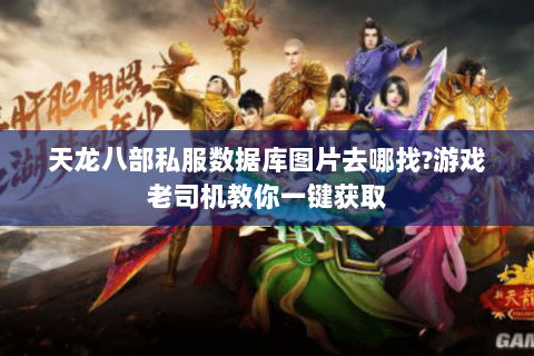 天龙八部私服数据库图片去哪找?游戏老司机教你一键获取 天龙八部私服数据库图片去哪找?游戏老司机教你一键获取