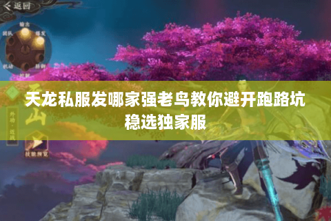 天龙私服发哪家强老鸟教你避开跑路坑稳选独家服 天龙私服发哪家强老鸟教你避开跑路坑稳选独家服