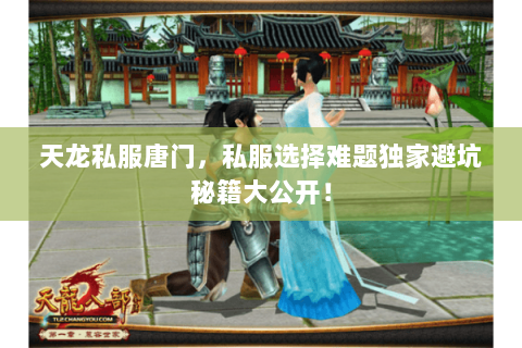 天龙私服唐门,私服选择难题独家避坑秘籍大公开! 天龙私服唐门,私服选择难题独家避坑秘籍大公开!