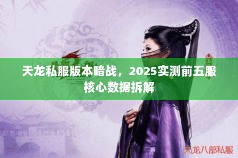 天龙私服版本暗战,2025实测前五服核心数据拆解 天龙私服版本暗战,2025实测前五服核心数据拆解