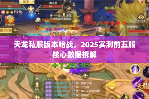 天龙私服版本暗战,2025实测前五服核心数据拆解 天龙私服版本暗战,2025实测前五服核心数据拆解