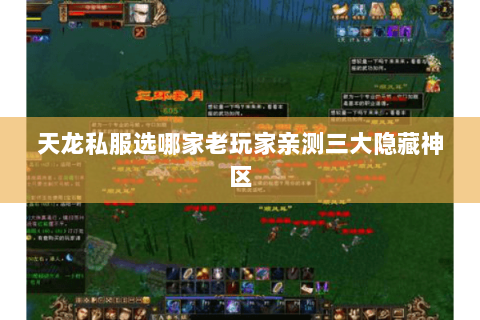天龙私服选哪家老玩家亲测三大隐藏神区 天龙私服选哪家老玩家亲测三大隐藏神区