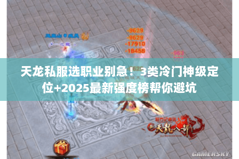 天龙私服选职业别急!3类冷门神级定位+2025最新强度榜帮你避坑 天龙私服选职业别急!3类冷门神级定位+2025最新强度榜帮你避坑
