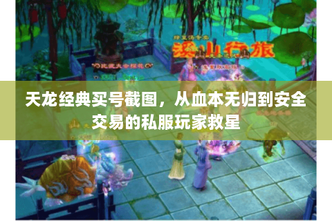 天龙经典买号截图,从血本无归到安全交易的私服玩家救星 天龙经典买号截图,从血本无归到安全交易的私服玩家救星