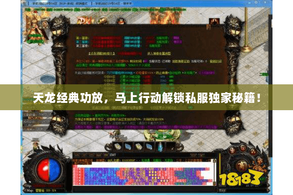 天龙经典功放,马上行动解锁私服独家秘籍! 天龙经典功放,马上行动解锁私服独家秘籍!