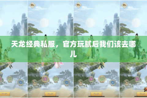 天龙经典私服,官方玩腻后我们该去哪儿 天龙经典私服,官方玩腻后我们该去哪儿