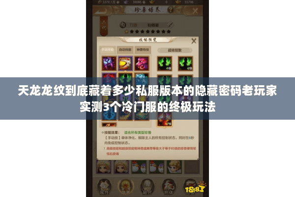 天龙龙纹到底藏着多少私服版本的隐藏密码老玩家实测3个冷门服的终极玩法 天龙龙纹到底藏着多少私服版本的隐藏密码老玩家实测3个冷门服的终极玩法