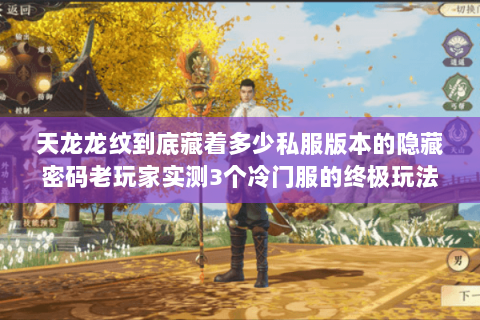 天龙龙纹到底藏着多少私服版本的隐藏密码老玩家实测3个冷门服的终极玩法 天龙龙纹到底藏着多少私服版本的隐藏密码老玩家实测3个冷门服的终极玩法