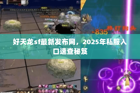 好天龙sf最新发布网，2025年私服入口速查秘笈