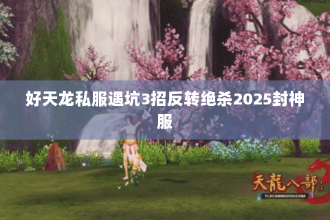 好天龙私服遇坑3招反转绝杀2025封神服 好天龙私服遇坑3招反转绝杀2025封神服