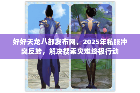 好好天龙八部发布网，2025年私服冲突反转，解决搜索灾难终极行动