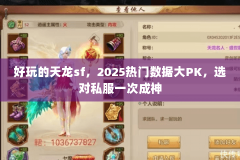 好玩的天龙sf，2025热门数据大PK，选对私服一次成神