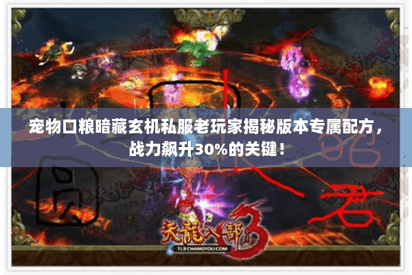 宠物口粮暗藏玄机私服老玩家揭秘版本专属配方,战力飙升30%的关键! 宠物口粮暗藏玄机私服老玩家揭秘版本专属配方,战力飙升30%的关键!