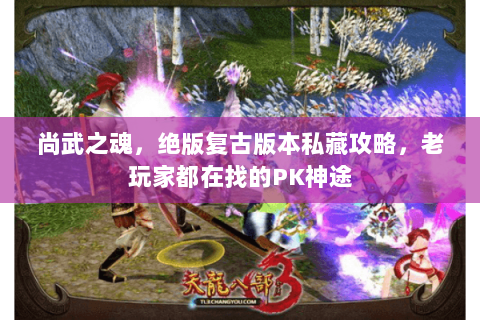 尚武之魂,绝版复古版本私藏攻略,老玩家都在找的PK神途 尚武之魂,绝版复古版本私藏攻略,老玩家都在找的PK神途