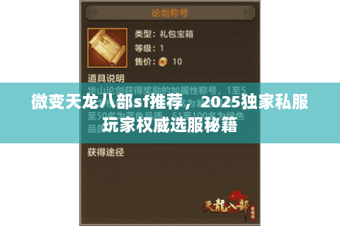 微变天龙八部sf推荐,2025独家私服玩家权威选服秘籍 微变天龙八部sf推荐,2025独家私服玩家权威选服秘籍