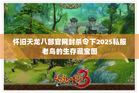 怀旧天龙八部官网封杀令下2025私服老鸟的生存藏宝图