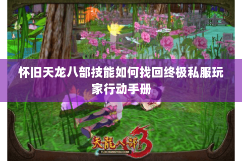 怀旧天龙八部技能如何找回终极私服玩家行动手册 怀旧天龙八部技能如何找回终极私服玩家行动手册