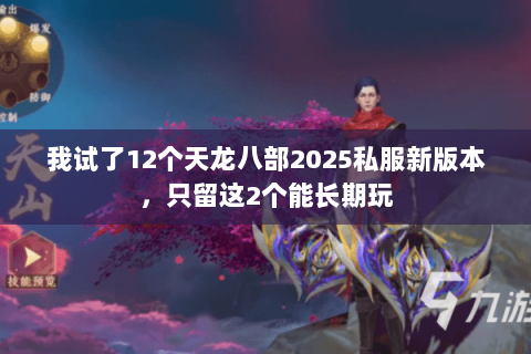 我试了12个天龙八部2025私服新版本,只留这2个能长期玩 我试了12个天龙八部2025私服新版本,只留这2个能长期玩