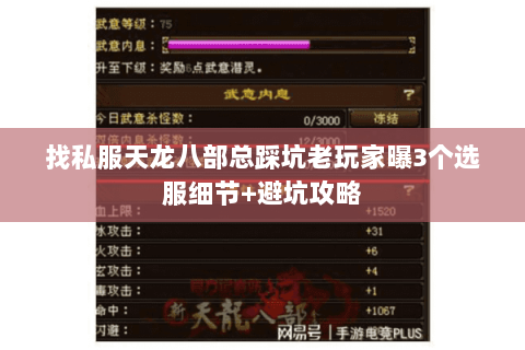 找私服天龙八部总踩坑老玩家曝3个选服细节+避坑攻略 找私服天龙八部总踩坑老玩家曝3个选服细节+避坑攻略