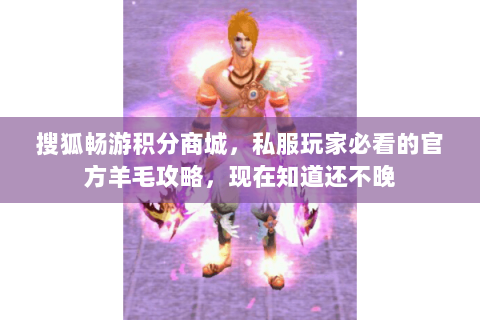 搜狐畅游积分商城,私服玩家必看的官方羊毛攻略,现在知道还不晚 搜狐畅游积分商城,私服玩家必看的官方羊毛攻略,现在知道还不晚