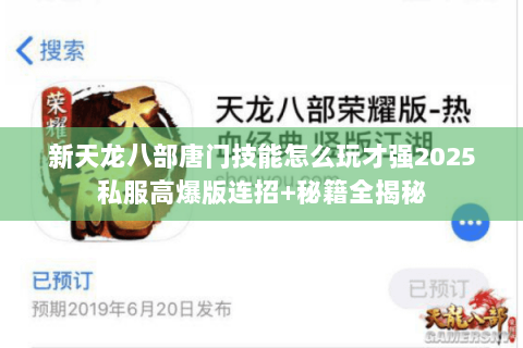 新天龙八部唐门技能怎么玩才强2025私服高爆版连招+秘籍全揭秘 新天龙八部唐门技能怎么玩才强2025私服高爆版连招+秘籍全揭秘