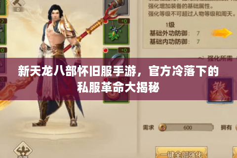 新天龙八部怀旧服手游,官方冷落下的私服革命大揭秘 新天龙八部怀旧服手游,官方冷落下的私服革命大揭秘